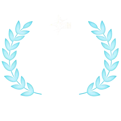 Most Innovative Product 2024 PSM