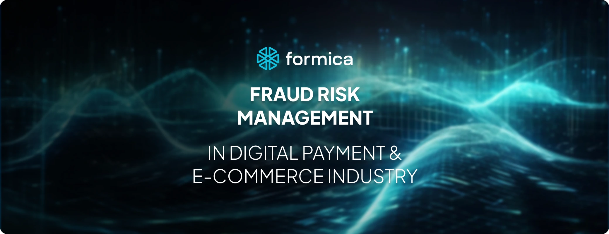 Fraud Risk Management in Digital Payments and E-Commerce Industries Formica AI